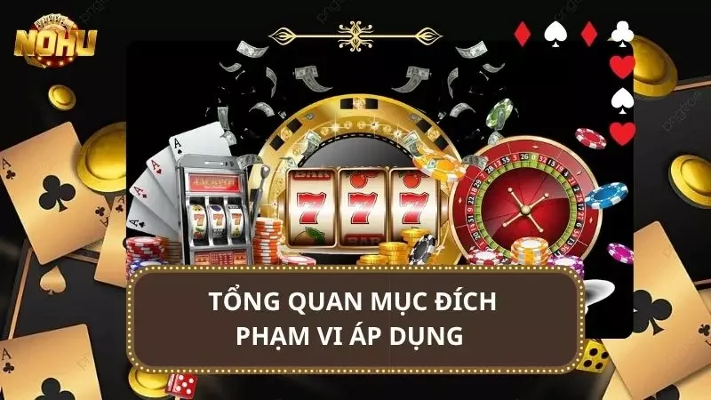 Điểm qua mục đích cùng phạm vi của chính sách